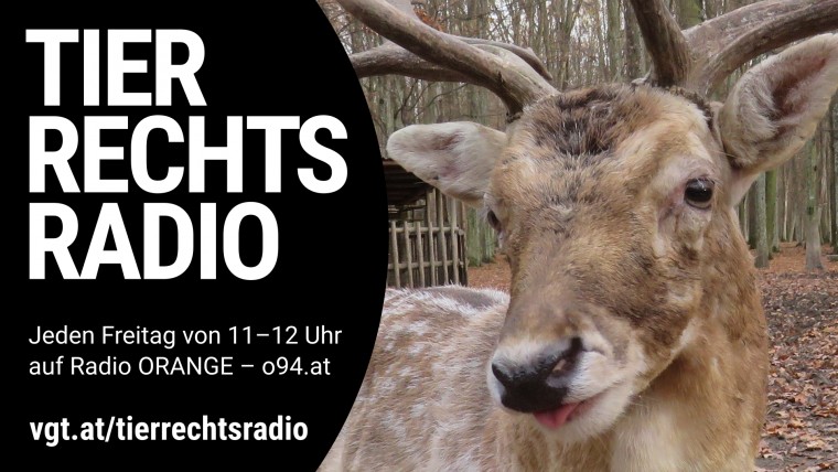 Bild zu dieser Radiosendung