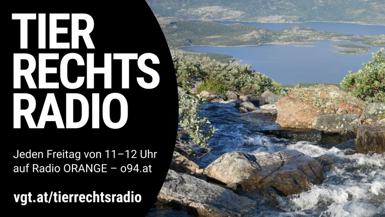 Bild zu dieser Radiosendung