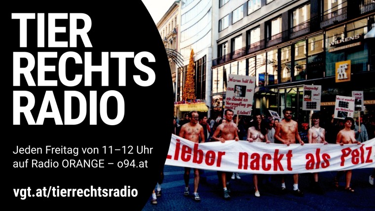 Bild zu dieser Radiosendung