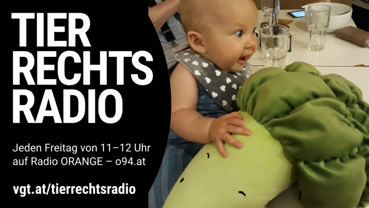 Bild zu dieser Radiosendung