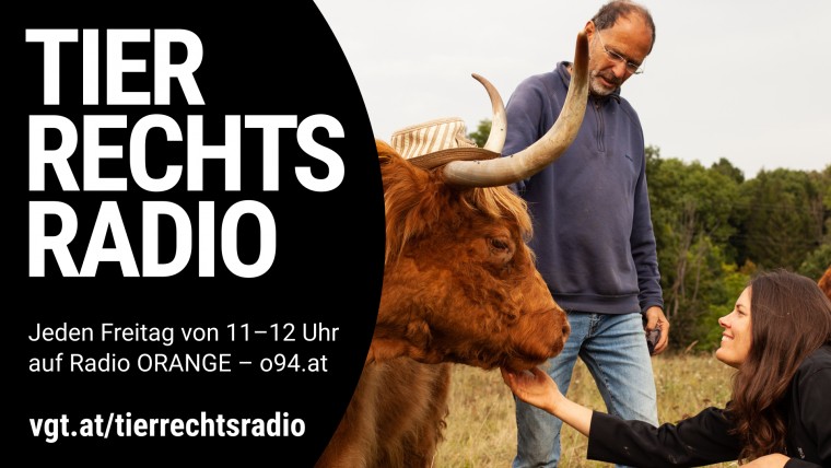 Bild zu dieser Radiosendung