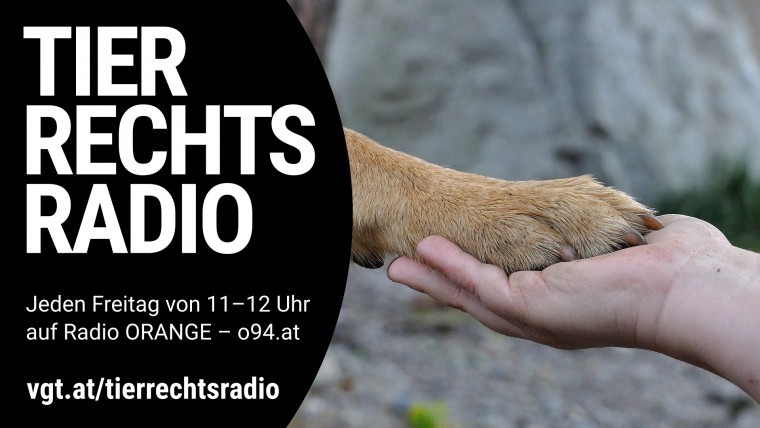 Bild zu dieser Radiosendung