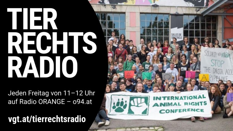 Bild zu dieser Radiosendung
