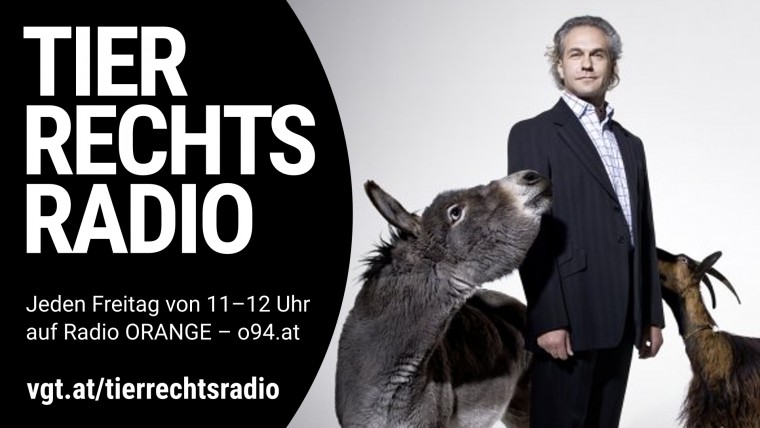 Bild zu dieser Radiosendung