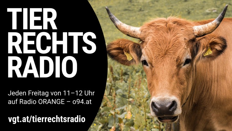 Bild zu dieser Radiosendung