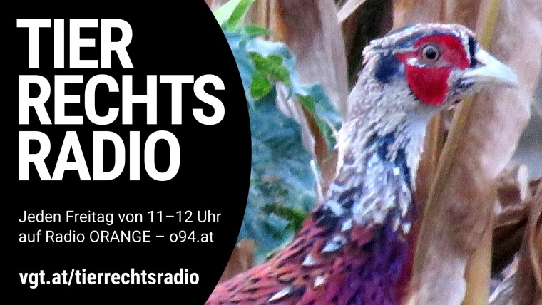 Bild zu dieser Radiosendung
