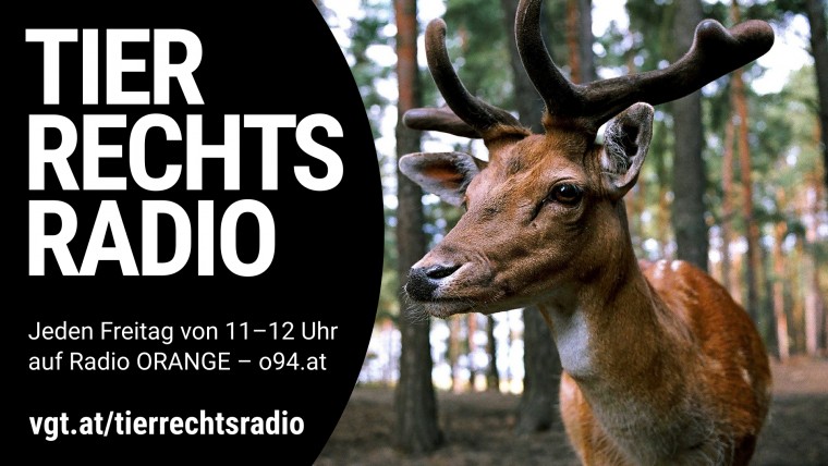 Bild zu dieser Radiosendung