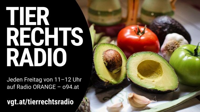 Bild zu dieser Radiosendung
