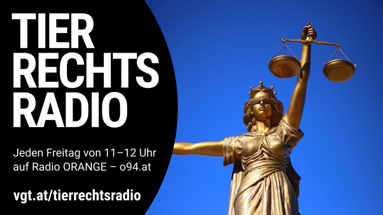 Bild zu dieser Radiosendung
