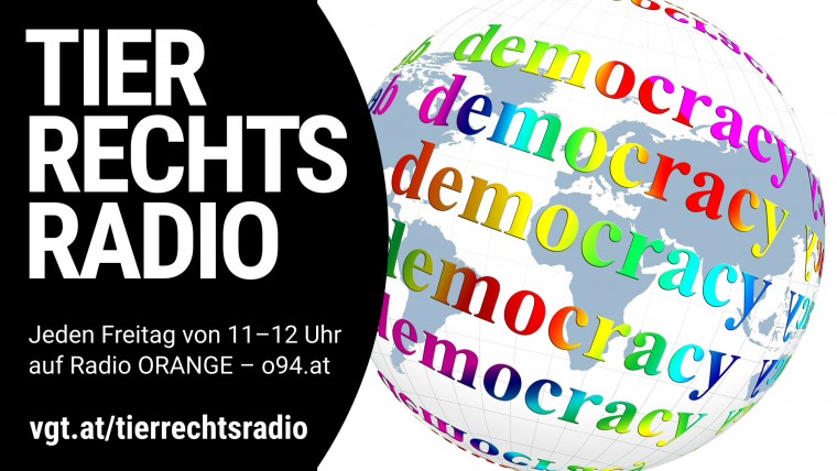 Bild zu dieser Radiosendung