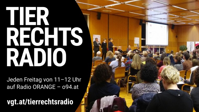 Bild zu dieser Radiosendung