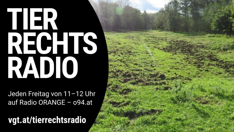Bild zu dieser Radiosendung