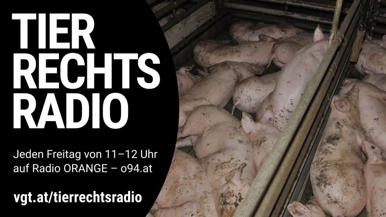 Bild zu dieser Radiosendung