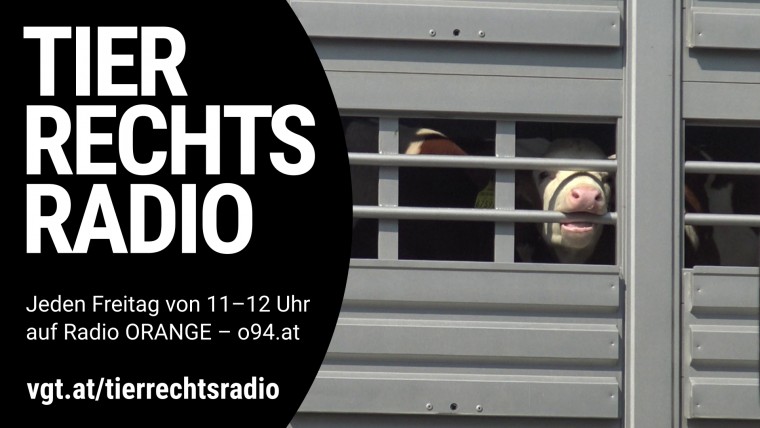 Bild zu dieser Radiosendung