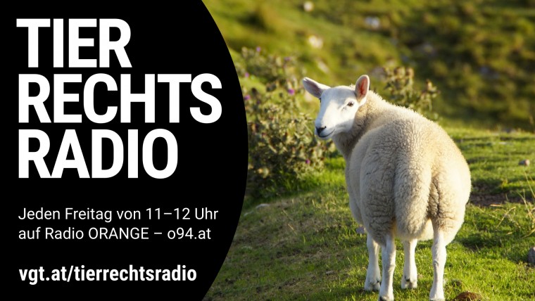 Bild zu dieser Radiosendung