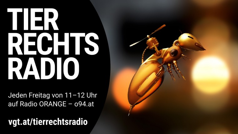 Bild zu dieser Radiosendung