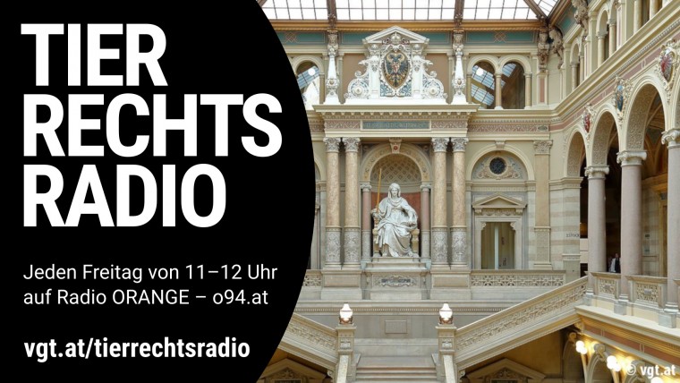 Bild zu dieser Radiosendung