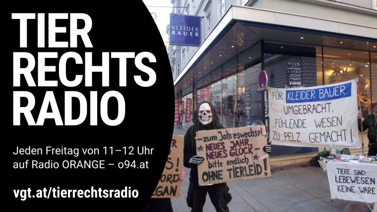 Bild zu dieser Radiosendung