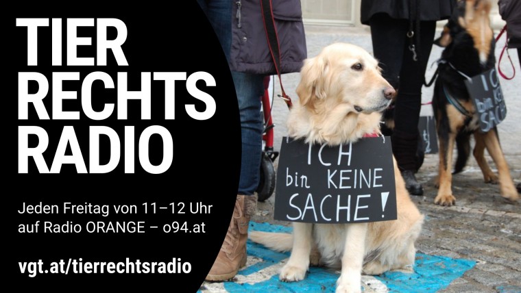 Bild zu dieser Radiosendung