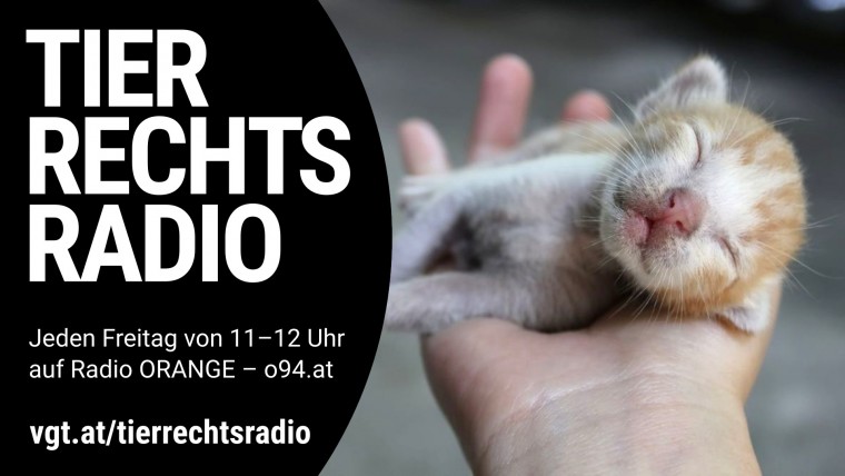 Bild zu dieser Radiosendung