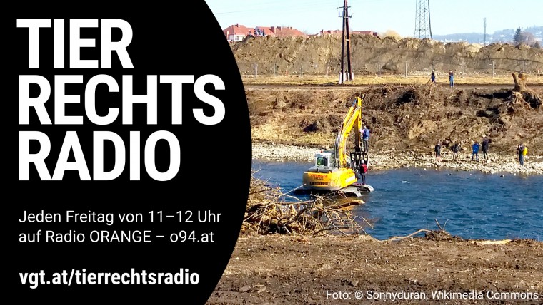 Bild zu dieser Radiosendung