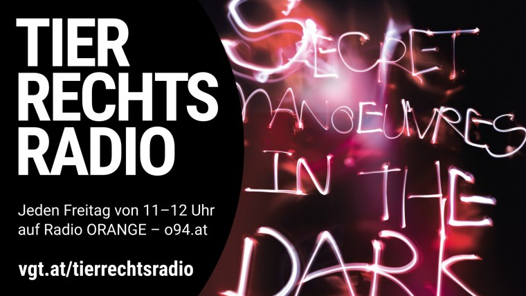 Bild zu dieser Radiosendung