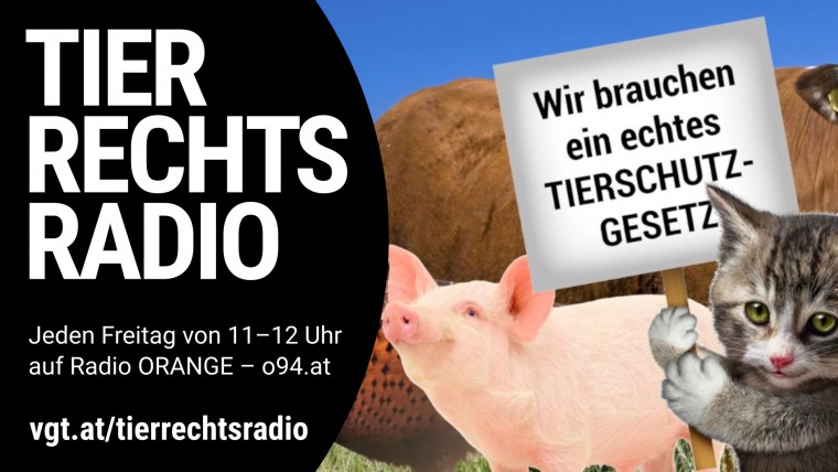 Bild zu dieser Radiosendung
