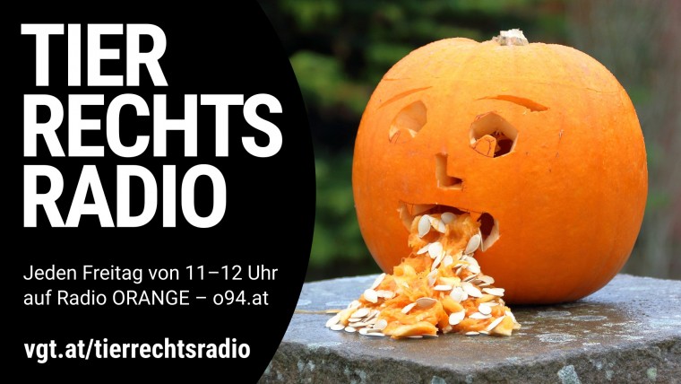 Bild zu dieser Radiosendung