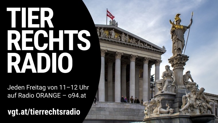 Bild zu dieser Radiosendung