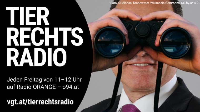 Bild zu dieser Radiosendung