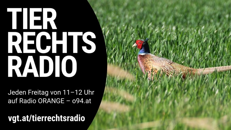 Bild zu dieser Radiosendung