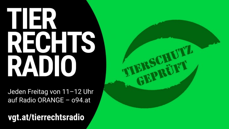 Bild zu dieser Radiosendung