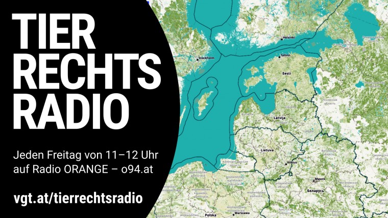 Bild zu dieser Radiosendung