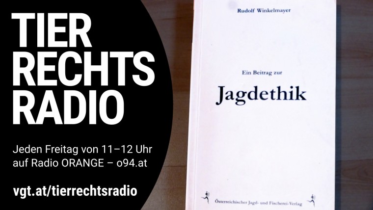 Bild zu dieser Radiosendung