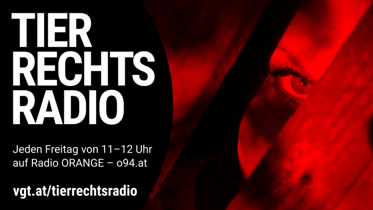 Bild zu dieser Radiosendung