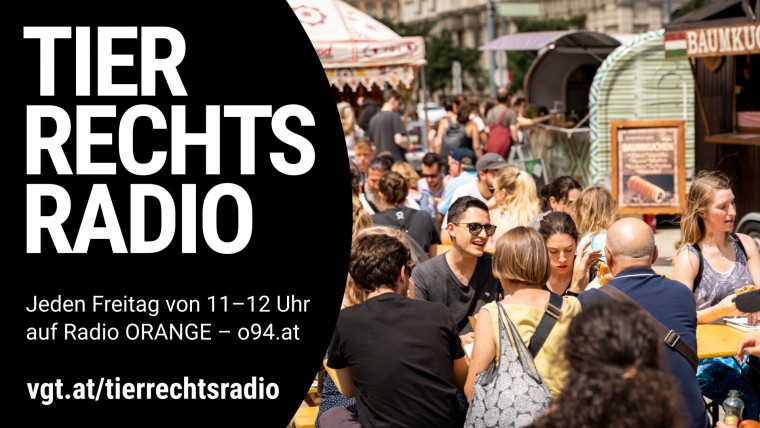 Bild zu dieser Radiosendung