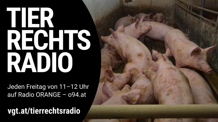 Bild zu dieser Radiosendung