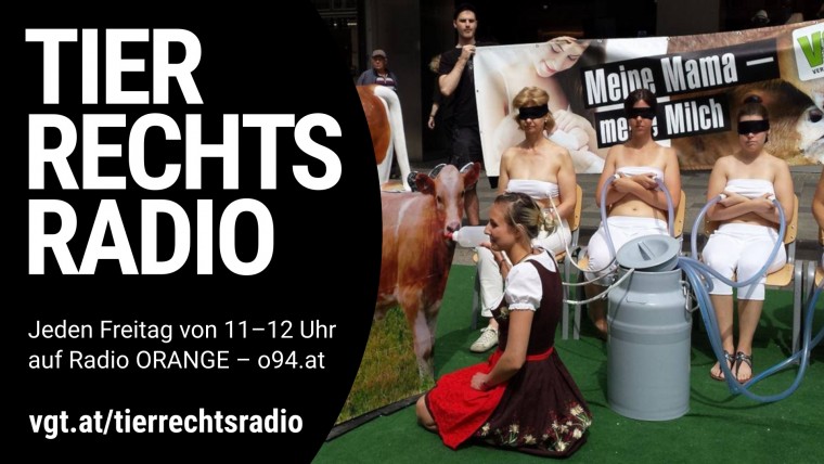 Bild zu dieser Radiosendung