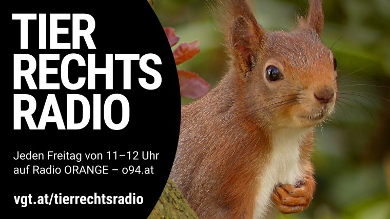 Bild zu dieser Radiosendung