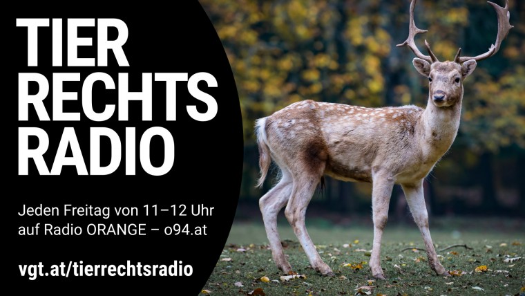 Bild zu dieser Radiosendung