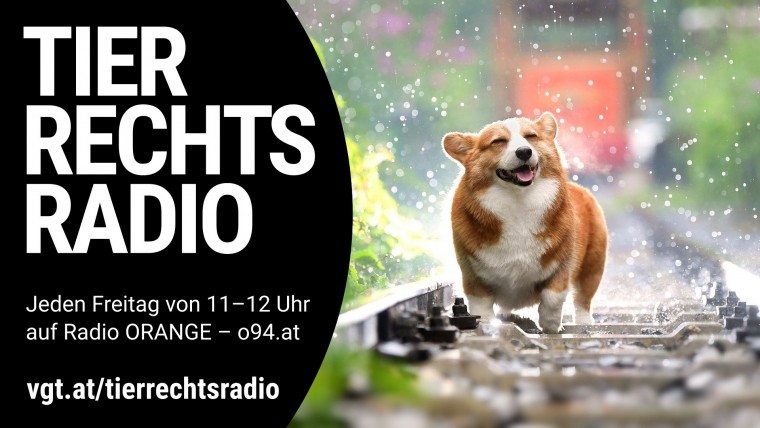 Bild zu dieser Radiosendung
