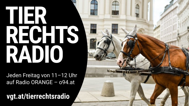 Bild zu dieser Radiosendung