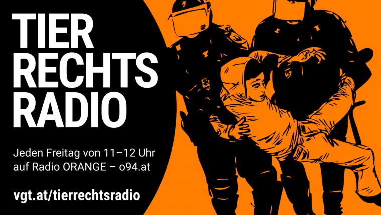Bild zu dieser Radiosendung