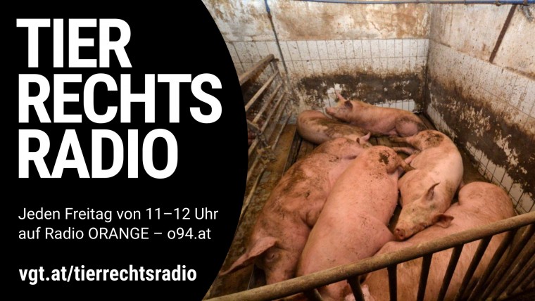Bild zu dieser Radiosendung