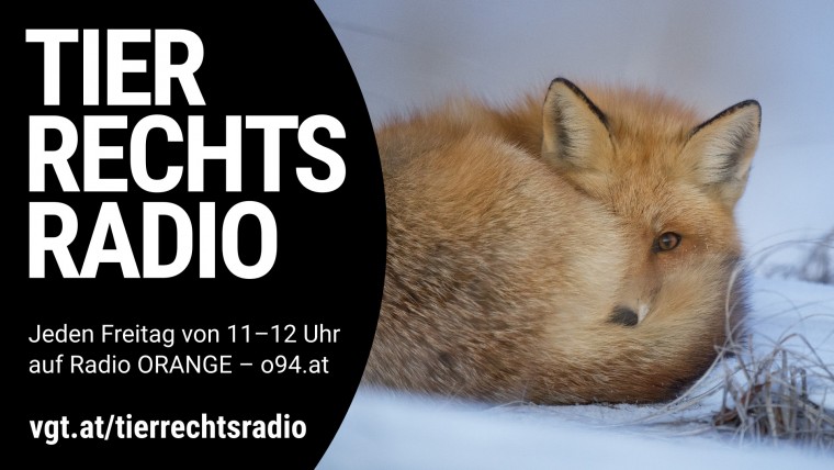 Bild zu dieser Radiosendung