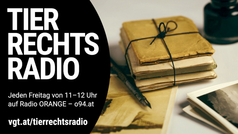 Bild zu dieser Radiosendung