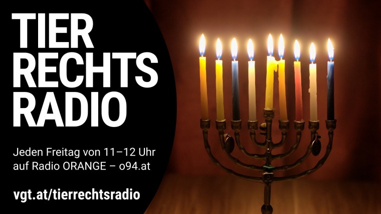 Bild zu dieser Radiosendung