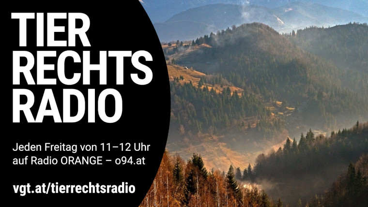 Bild zu dieser Radiosendung