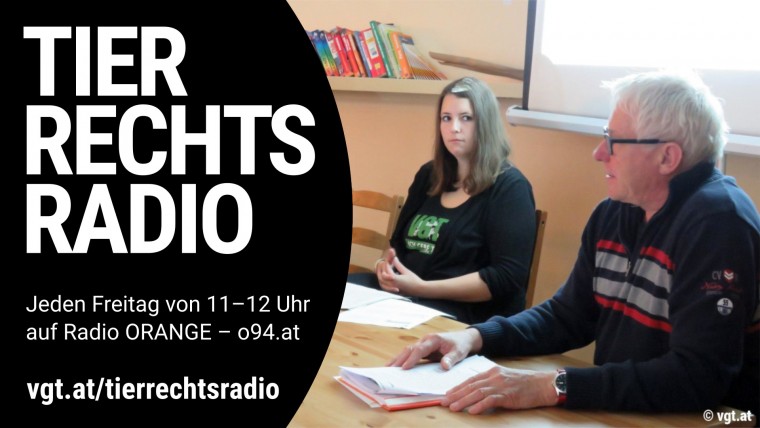 Bild zu dieser Radiosendung
