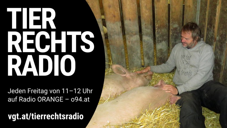Bild zu dieser Radiosendung